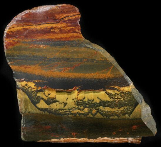 Marra Mamba Stromatolite - Mt Brockman ( Billion Years) #41358